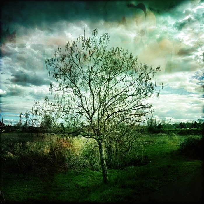 Photograph by @James1819, shot with John S + Leprechaun Tears Gel + Delaunay 1941