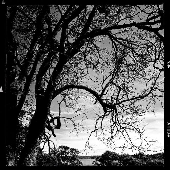 Photograph by @Kleinyoga, shot with Carmen 85 + AO DLX + Berry Pop