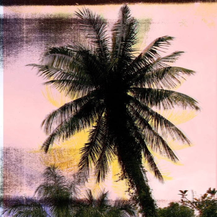Photograph by @AlWoodSURF8, shot with Salvador 84 + Laser CMYK