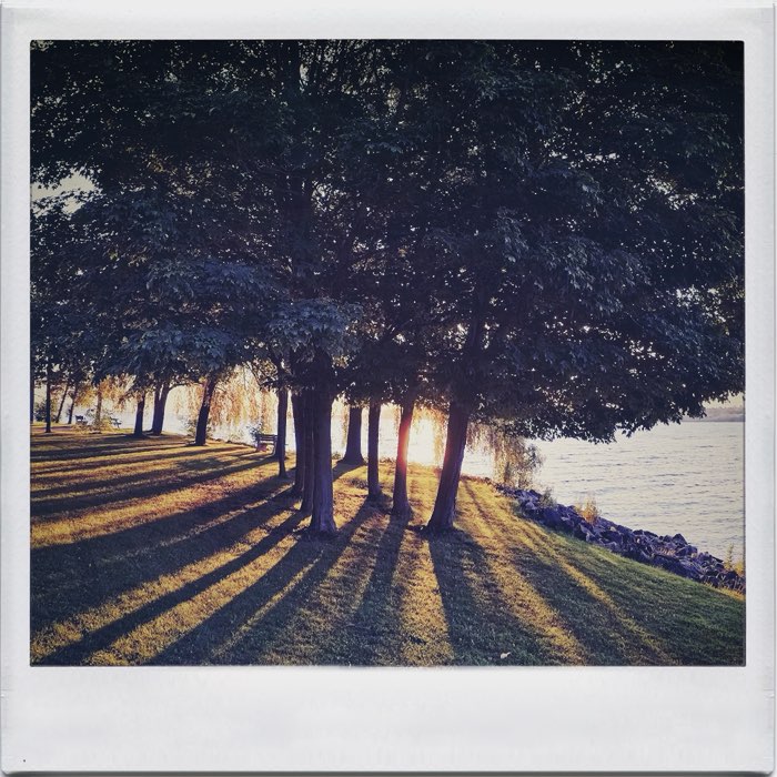 Photograph by @Raymond, shot with Helga Viking + Abbot K30