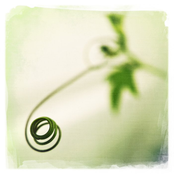 Photograph by @Donna_m1, shot with DreamCanvas + Melodie