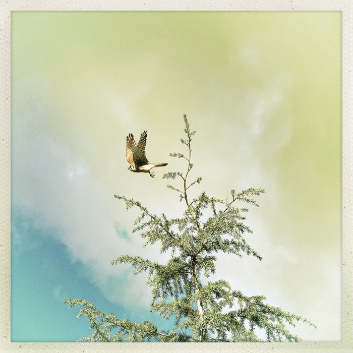 Photograph by @Yembo, shot with Jimmy + Ina's 1982 + Lighthouse 72