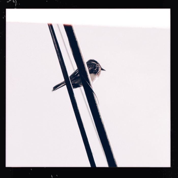 Photograph by @DUSTIN, shot with Guadalupe XII + Caballito 76