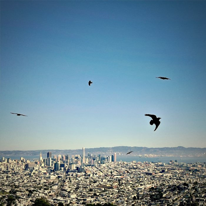 Photograph by @StevenS, shot with Hornbecker + Liberty