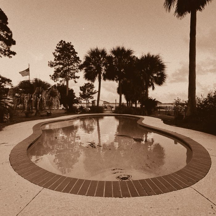 Photograph by @molly, shot with Ray Mark II + Browny’s 55 Mocha + Lighthouse 72