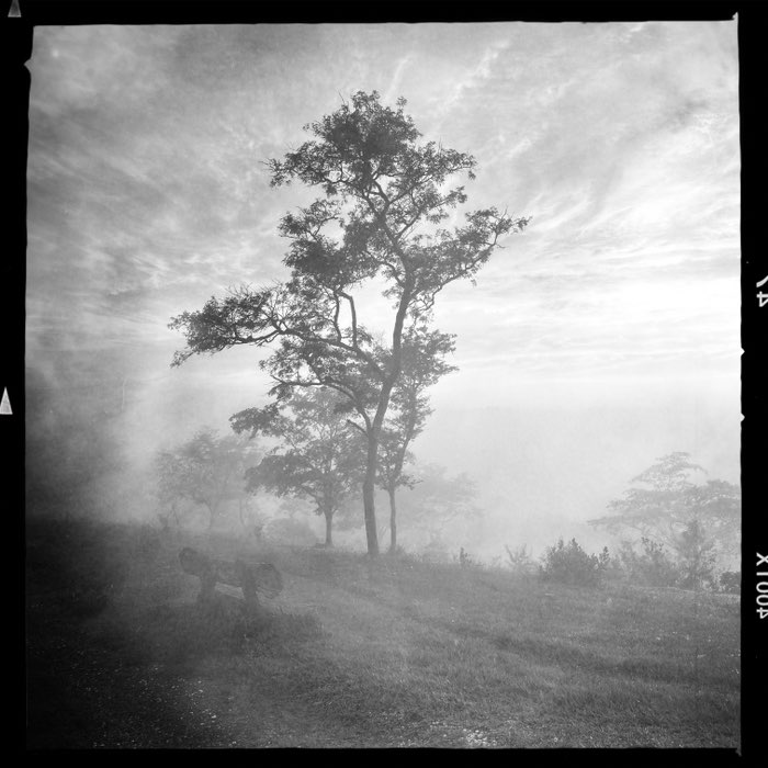 Photograph by @coacci, shot with Vincent + Yuletide + AO DLX