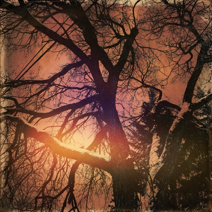 Photograph by @shakti, shot with Carlson C + Dreampop + Mount Royal
