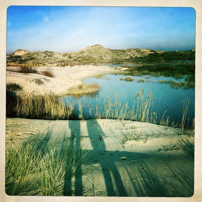 Photograph by @vanamstel, shot with Ina's 1969 + John S