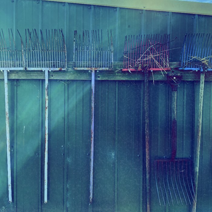 Photograph by @Silvereyeimages, shot with Raggiana + Port Moresby