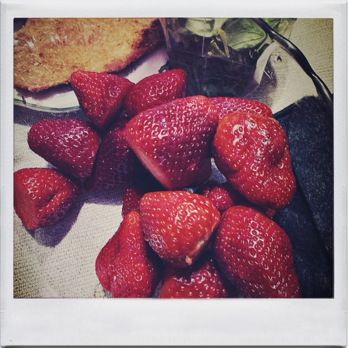 Photograph by @Willieram, shot with Helga Viking + Abbot K30