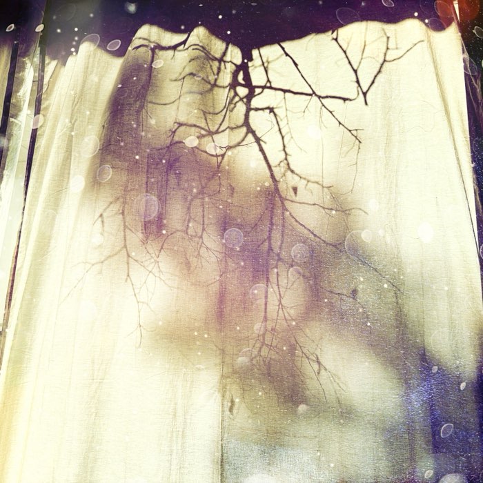 Photograph by @Minela, shot with Hornbecker + Comet + Dreampop
