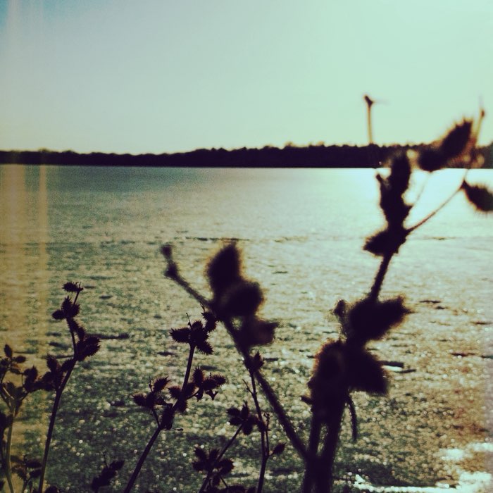 Photograph by @Erock, shot with Eric + Triple Crown + Polina