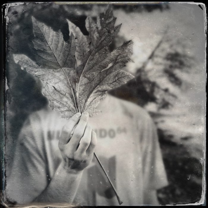 Photograph by @Photofrazzle