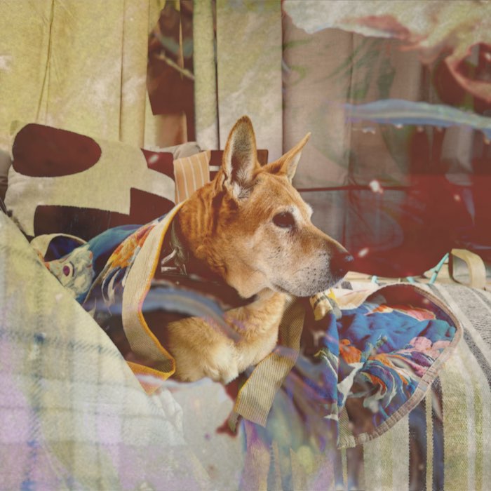 Photograph by @5FootCamera, shot with Sara EF + Kool Soup