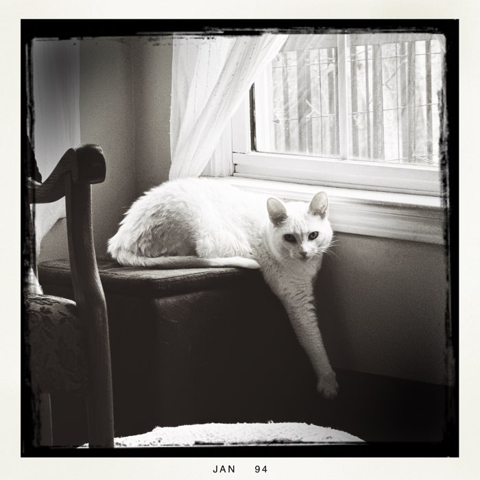 Photograph by @bjaj1, shot with Kaimal Mark II + Standard + BlacKeys B+W