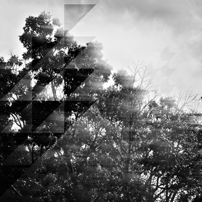 Photograph by @ElliotBlues, shot with Tachman + Aristotle + Triad Gel