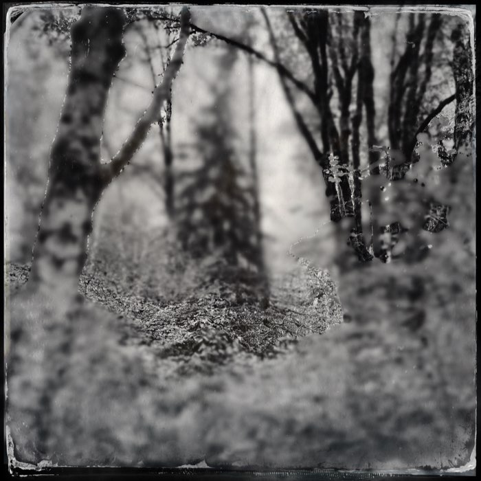 Photograph by @FrankWinters, shot with Tinto 1884 + D-Type Plate