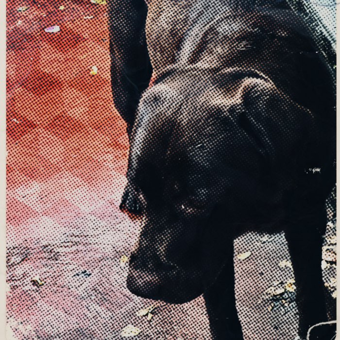 Photograph by @laveau, shot with Peña + Cubic Gel + Blinken