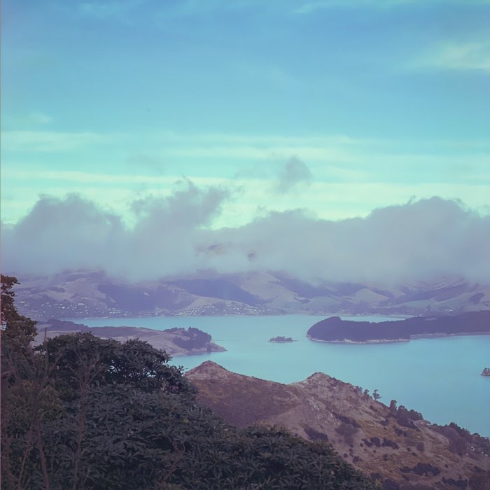 Photograph by @Josiah, shot with Muir + Sequoia