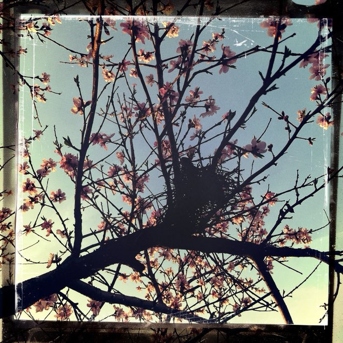 Photograph by @JBnotes, shot with Jardim PR + Claire 42 + Glow Pop