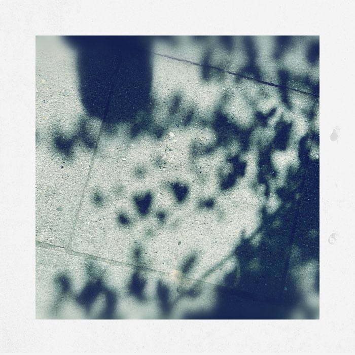 Photograph by @dorinaOo, shot with Americana + Bream