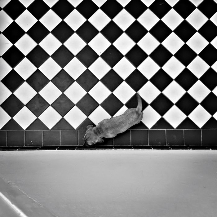Photograph by @amld, shot with Stavros + Jolly Rainbo 2X + Aristotle