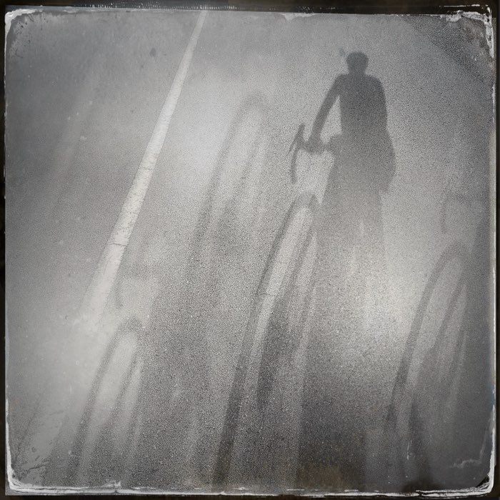 Photograph by @cedarcanvas, shot with Kally X3 + D-Type Plate