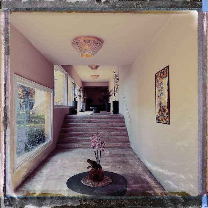 Photograph by @Luca2828, shot with Peale + Type 10 Pack