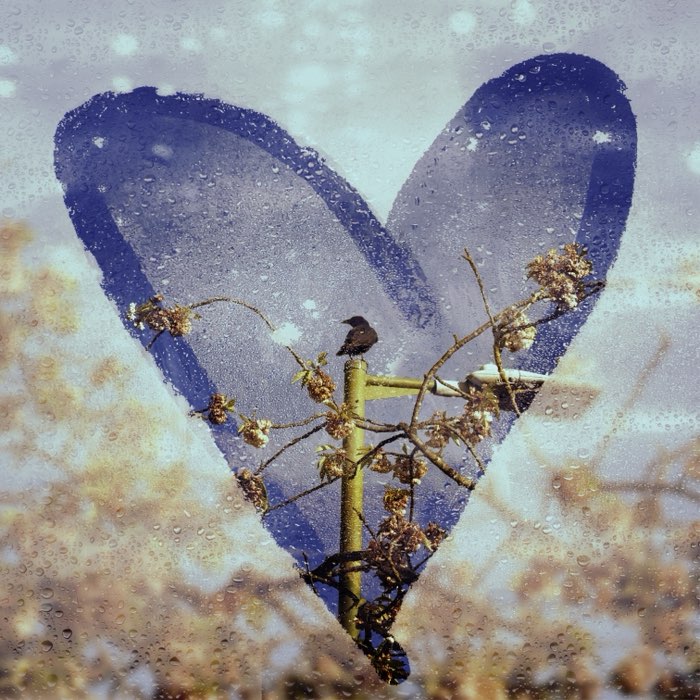 Photograph by @anonymous, shot with Jill Frost + Laser Lemon Gel + Polina