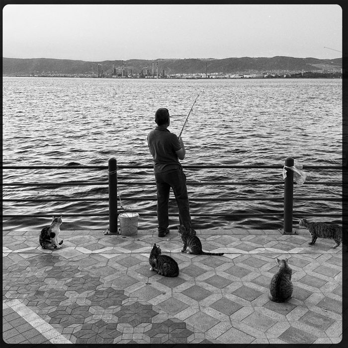 Photograph by @eliano, shot with James M + Rock BW-11