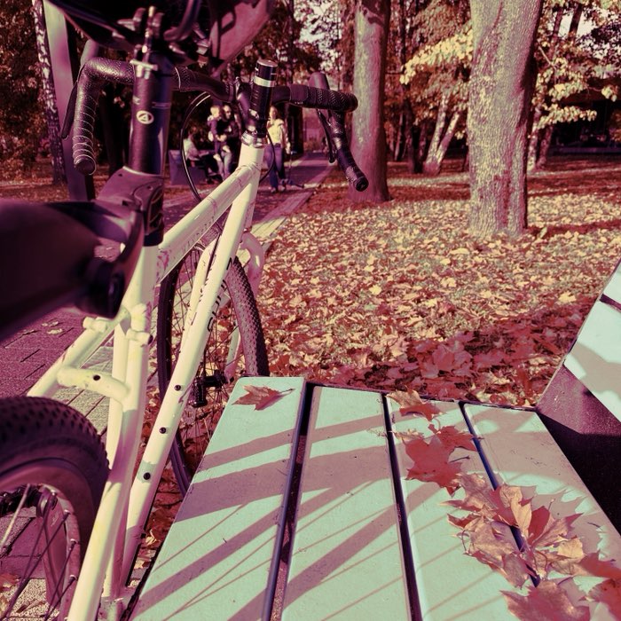Photograph by @andrei, shot with Savannah + Louis XIV Infrared