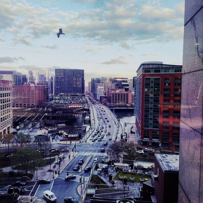 Photograph by @DavidCole, shot with Aatto + Triple Crown + Rijks