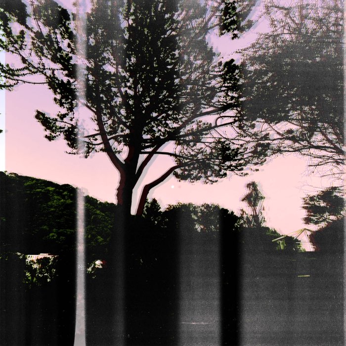 Photograph by @Freya, shot with Carlson C + Laser CMYK