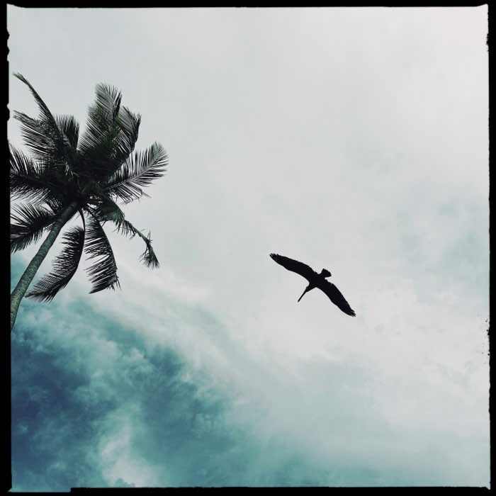 Photograph by @rolo, shot with Burke + Blanko Noir