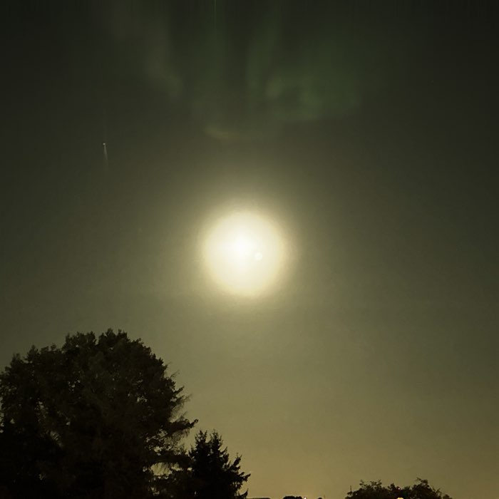 Photograph by @Marita6214, shot with Aphaea 12 + Midnight Sun AS + Pop Rox