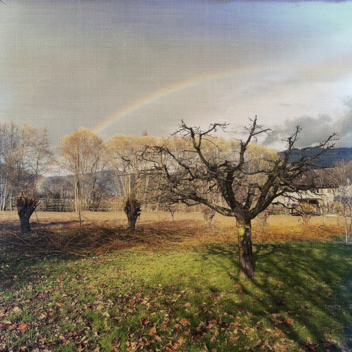 Photograph by @newG, shot with Foxy + DreamCanvas