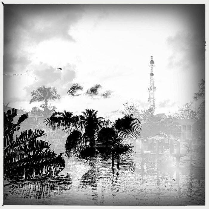 Photograph by @5Points, shot with Carmen 85 + AO BW + Standard