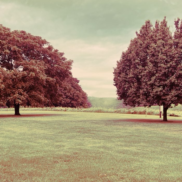 Photograph by @Yona2327, shot with Savannah + Louis XIV Infrared