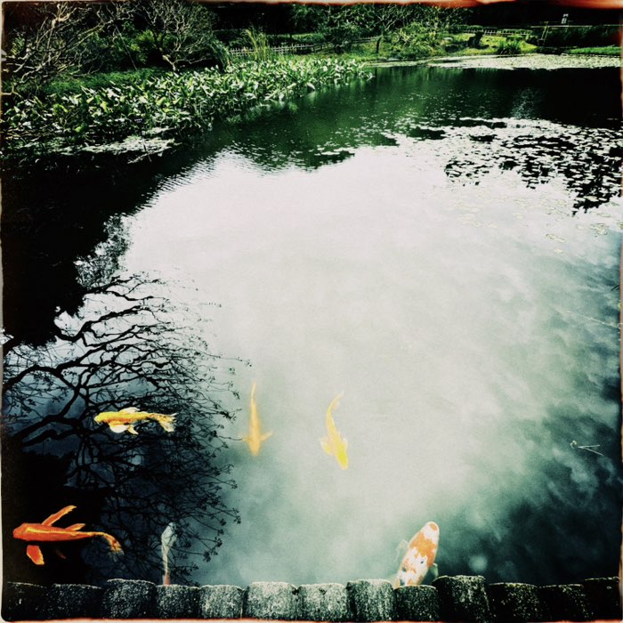 Photograph by @shell_in_sf, shot with John S + Lighthouse 72 + Dixie