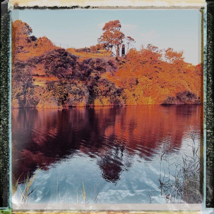 Photograph by @AnnaEnsaygirl, shot with Peale + Type 10 Pack
