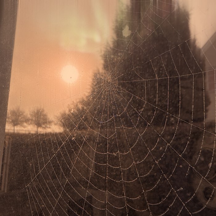 Photograph by @Lotta, shot with Aurora NCL + Midnight Sun AS + Apollo
