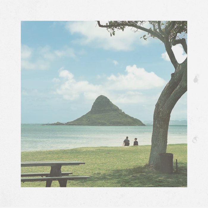 Photograph by @knoxmomi, shot with Flamingo 777 + Gregory + Bream