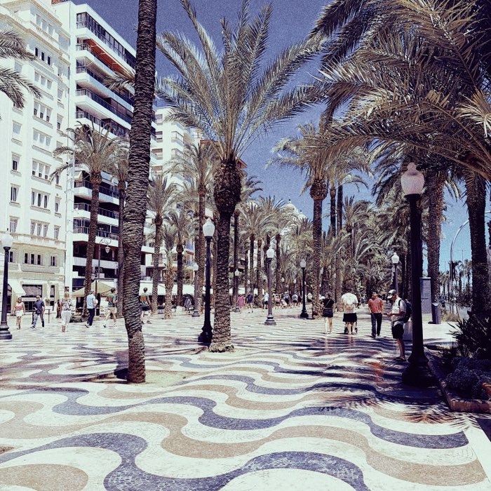 Photograph by @Veronica78311, shot with Mumtaz + Four Minarets