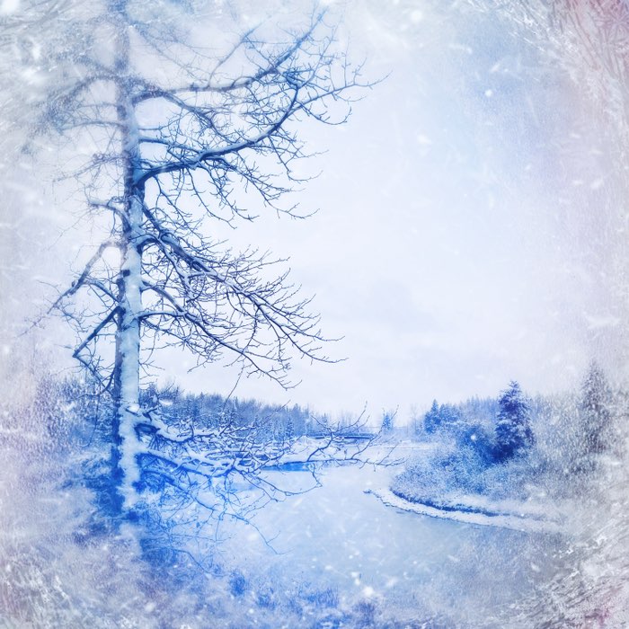Photograph by @shakti, shot with Frosty + Yuanzi 12 + Cupid