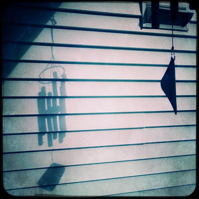 Photograph by @Birdie, shot with Antoni + Love 81