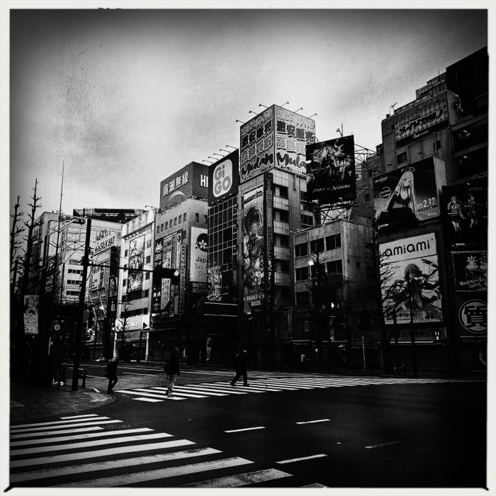 Photograph by @rumcoora, shot with Raggiana + Lighthouse 72 + AO BW
