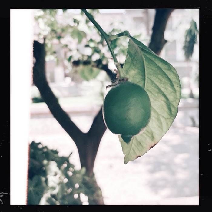 Photograph by @hjmos, shot with Caballito 76