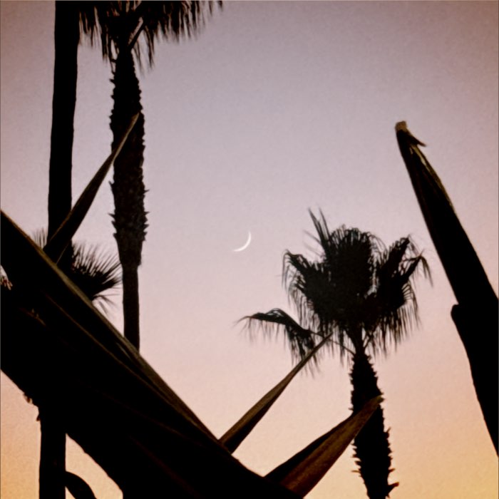 Photograph by @oliver_asis, shot with Komorebi + Thalia