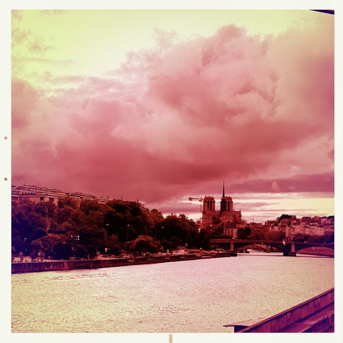 Photograph by @MonkeyStrawHat, shot with Scott S + Alfred Infrared
