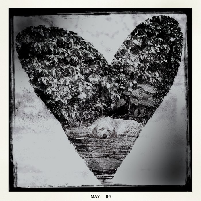 Photograph by @amld, shot with Jill Frost + BlacKeys B+W + Burst Light VI
